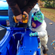 Image for article titled 2015 Ford F-150 Power Wheels: The Four-Year-Old Kid Review